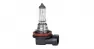 Лампа галогенная AUTOPROFI H8 12V 35W (PGJ19-1) STANDARD